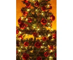„Massa Filtras Rainbow Star“ filtrai 6 x 62 mm