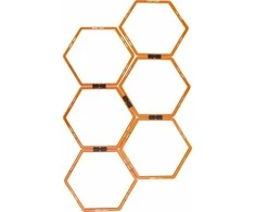 Master Training Kopėčios MASTER Hexa pratimams
