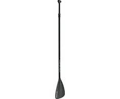 Master SUP valdybos standarto eilutė