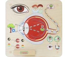 Edukacinė lenta Regos pojūtis Montessori MASTERKIDZ