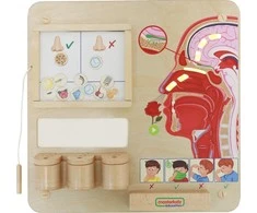 Edukacinė medinė lenta MASTERKIDZ Uoslės pojūtis