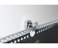 Maul MAUL Neodym-Kegelmagnet,  32 mm, 22 kg, 2 St. hellsilber