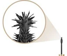 MAX FACTOR Eyelash rašalas False Lash Epic atsparus vandeniui MascarA juoda 13,1 ml