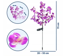 Maximex Solar garden lights, LED orchids, set of 2 pieces, 75 cm