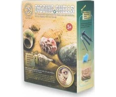 Mega Creative Mz Import Muszle komplektas do kopania 129-28 12szt/disp 14077