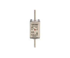 Mersen Nordic Ab Saugiklis NH2 80A GL/GG 500V