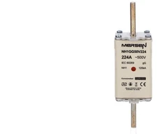 MERSEN Saugiklio įdėklas NH 1 224A 500VAC gG D219285