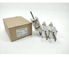MERSEN Saugiklio įdėklas NH 2C 100A 500VAC gG M214670