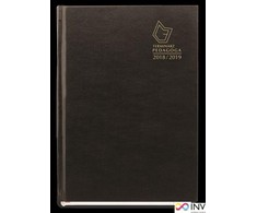 Michalczyk Prokop Pedagog tvarkaraštis 2021 / 2022 T- 150V- V