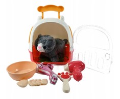 Midex KATINĖS TALISKAS SU TRANSPORTERIU + priežiūros rinkinys
