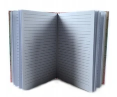 Midex Notes D43884 59030