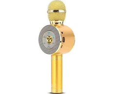 Mikrofonas Vega Auksinis karaoke
