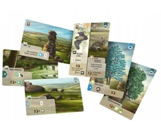 Rebel Forest giveaway: Dartmoor REBEL