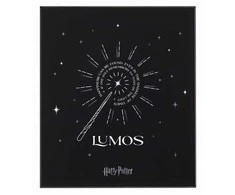 MOLESKINE Haris Poteris 2024 riboto leidimo rinkinys