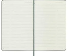 Užrašų knygutė Moleskine Professional, 13x21cm, žalios spalvos