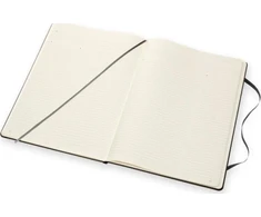 Moleskine PROFESIONAL A4 (21x29,7 cm), hardcover, 192 puslapių, juoda
