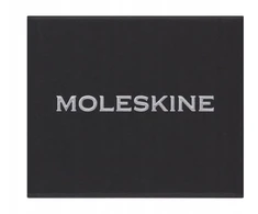Moleskine Przypinka MOLESKINE V, sidabrinė