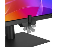 Monitorius ASUS ProArt Ekranas OLED PA32USD - 240Hz | 4K | QD-OLED | 31.5" | Thunderbolt 4