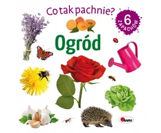 Morex Co tak pachnie? Ogród 14706