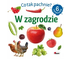 Morex Kas čia per kvapas? Kieme 14713