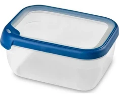 Indas mikrobangų krosnelei 1650 ml, 40605, Michelino