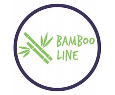 Multitex BAMBOO dvipusis bambukinis antklodė 75x100