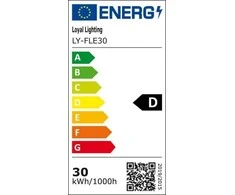 Loyal Lighting prožektorius LAMPA Lauk. LED 4250lm LUMILEDS IP65 4K