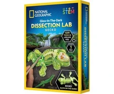 NATIONAL GEOGRAPHIC rinkinys Tamsoje šviečiančių gekonų skrodimo laboratorija, RTGECKOLAB