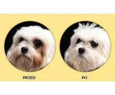 Nature's Protection Superior Care Baltas Dogs ėriena Adult Small and Mini Breeds 1,5kg, mažų ir labai mažų veislių suaugusių baltakailių šunų sausas pašaras su ėriena