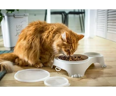 NAVA PET NOVA DVIBE DUBENIS SU DANGIU 1l+0,28l CAPPUCCINO