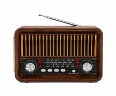 Nešiojamas retro radijas (Ecobox)