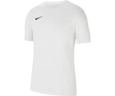 Sportiniai marškinėliai vyrams Nike Dri-FIT Park 20 M CW6952-100, balti