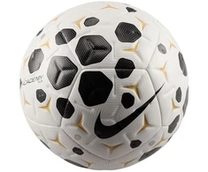 Nike Kamuolys Academy Plus HV4392-100