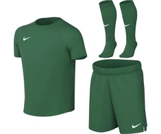 Sportinis komplektas dla małych dzieci Nike Dri-Fit Park VIII žalia HV8260 302 (XL)