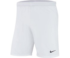 Nike lazerinis IV Austrieti Šortai M AJ1245-100