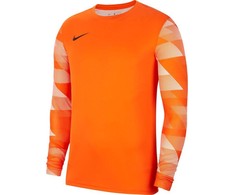 Bluza bramkarska vyriška Nike Dry Park IV JSY LS GK oranžinė CJ6066 819 (M)