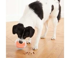 OUTWARD HOUND - Dog Rumble Puzzle Oranžinis - (635.1392)