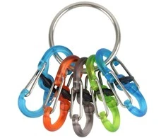 Raktų juosta Nite Ize KeyRing + 5x mikro karabinų skaidrus spalvų derinys (KRGP- 11- R3)