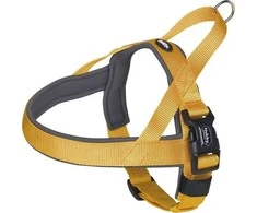 Nobby NOBBY CLASSIC PRENO DIRŽAI L-XL ORANŽINĖS. 68-85cm| 40/45