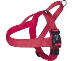 Nobby Nobby Classic Preno Braces L- XL Raudona. 68-85cm; 40/45