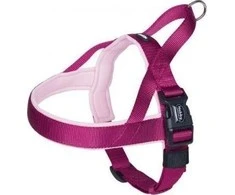 Nobby NOBBBY CLASSIC PRENO S- M DIRŽAI S- M rožiniai 38-50cm; 20/25