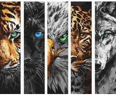 Art Active Norimpex Paveikslas pagal skaičius - Plėšrūnai 40x50cm