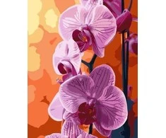 Norimpex Paveikslas skaičiais - Orchidėja 40x50cm