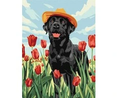 Norimpex Dailininko rinkinys skaičiais "Lovely Labrador" KHO6621 30x40 AP0055