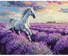 „Norimpex Malow“, nr. 40x50. Levandų laukuose 68199.