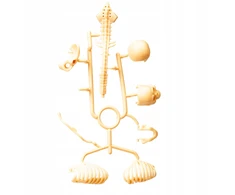 Norimpex *****Model anatomiczny ludzkie ciało 2002087 20875
