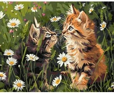 Norimpex Paveikslas pagal skaičius - Katės gėlėse 40x50cm