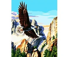 Norimpex Paveikslas skaičiais - Amerikos erelis 40x50cm