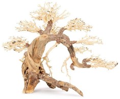 Norimpex Tapybos paveikslas „Bonsai“ medis nr. 13 60x40