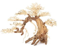 Norimpex Tapybos paveikslas „Bonsai“ medis nr. 13 60x40